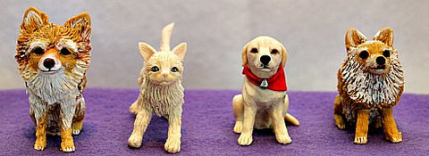 Custom Pet - Miniyou  